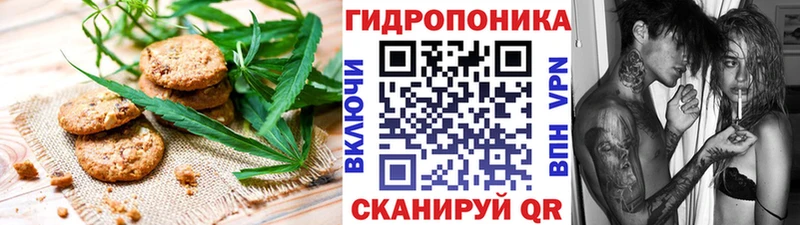 hydra ТОР  где купить наркотик  Щигры  Печенье с ТГК марихуана 