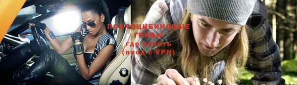 таблы Алексеевка