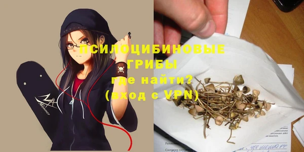 амф Алексин
