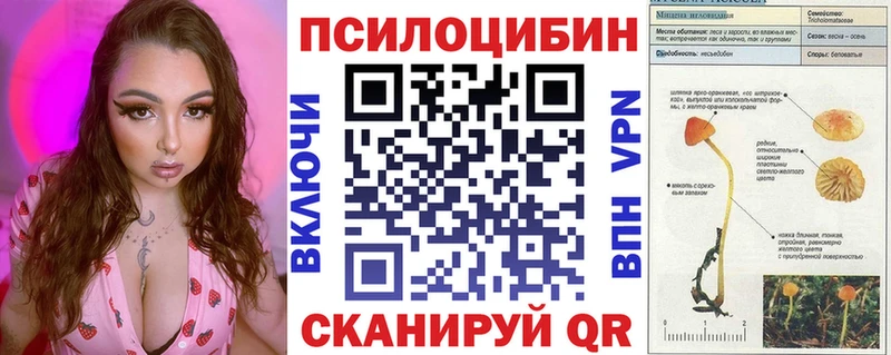 Галлюциногенные грибы Psilocybine cubensis  закладки  Щигры 